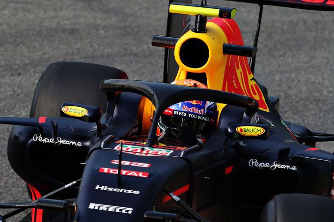 Halo Formula 1 Max Verstappen Red Bull Racing