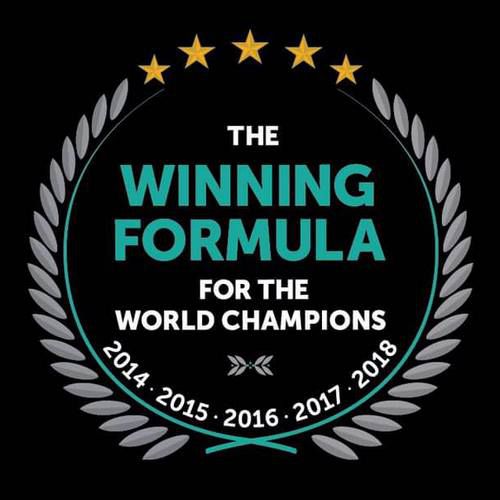 Petronas Mercedes F1 World Champions