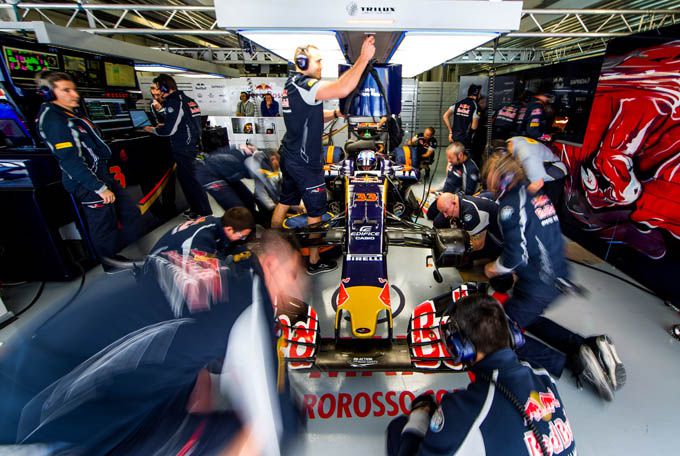 Max Verstappen 33 Red Bull Toro Rosso
