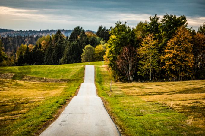 Central_European_Rally_atmosphere 5