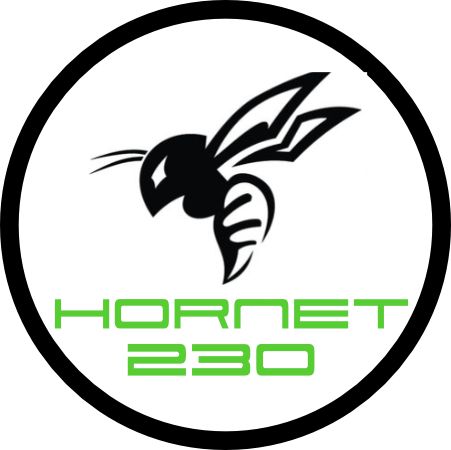 Hornet 230 motoren speciaal ontwikkeld voor de 24u van Nederland