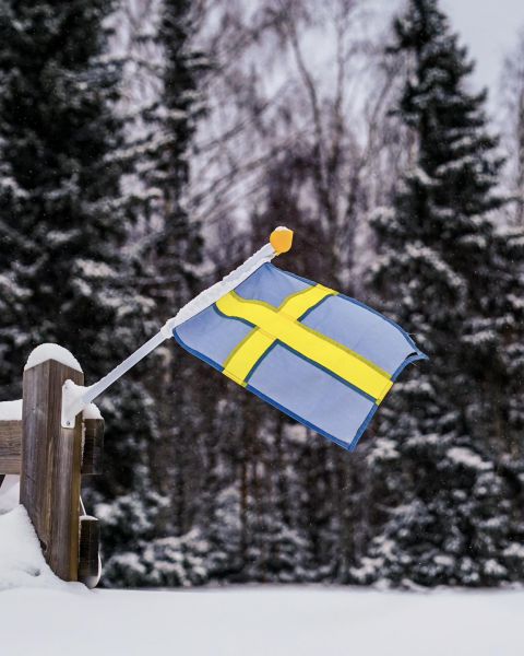 Rally Sweden 2024 winterse klassementsproeven foto 5