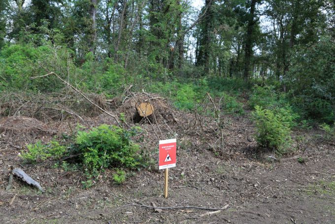 Autodromo Nazionale Monza Preview F1 Foto 24 F1 Monza 2023 © PeterVader