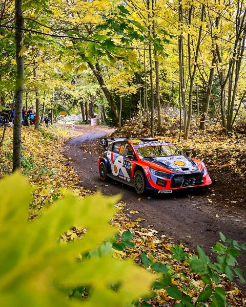 Hyundai Motorsport @ FIA WRC Central European Rally 2025 Foto 5