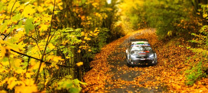 Central European Rally 16  19 oktober 2025 FIA World Rally Championship Foto 1 Toyota in herfstomgeving