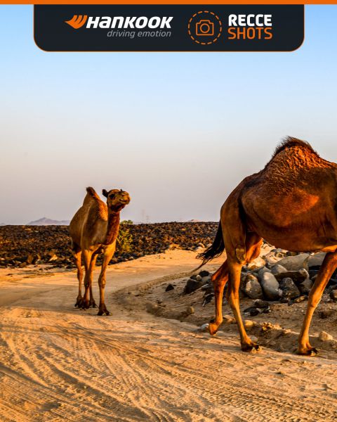 FIA World Rally Championship Rally Saudi-Arabië 2025