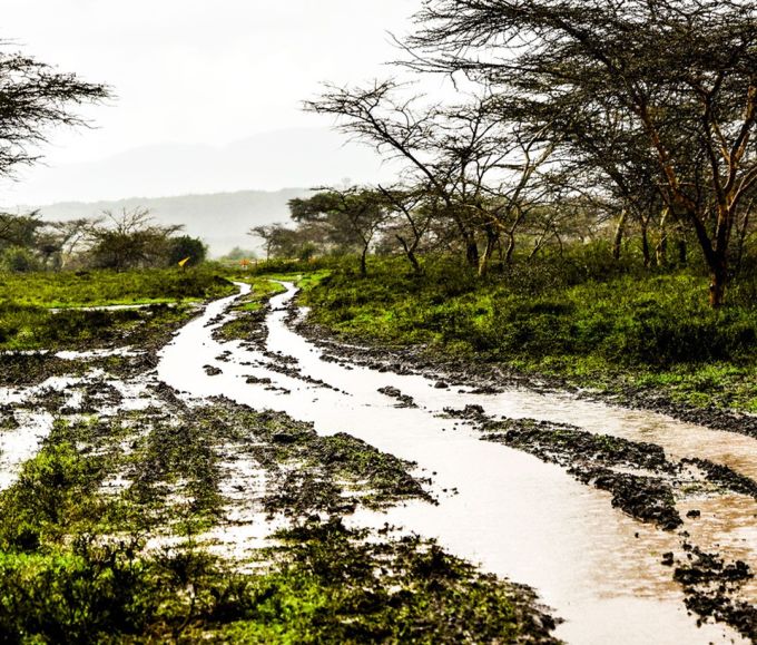 Hankook Tire Safari Rally Kenya 2026 2